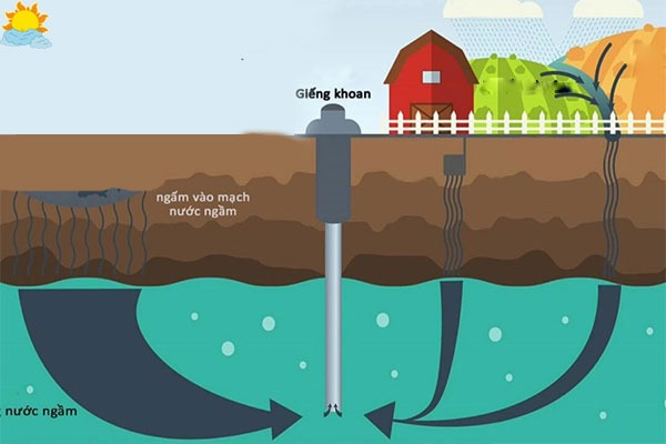 cách tìm mạch nước để đào giếng